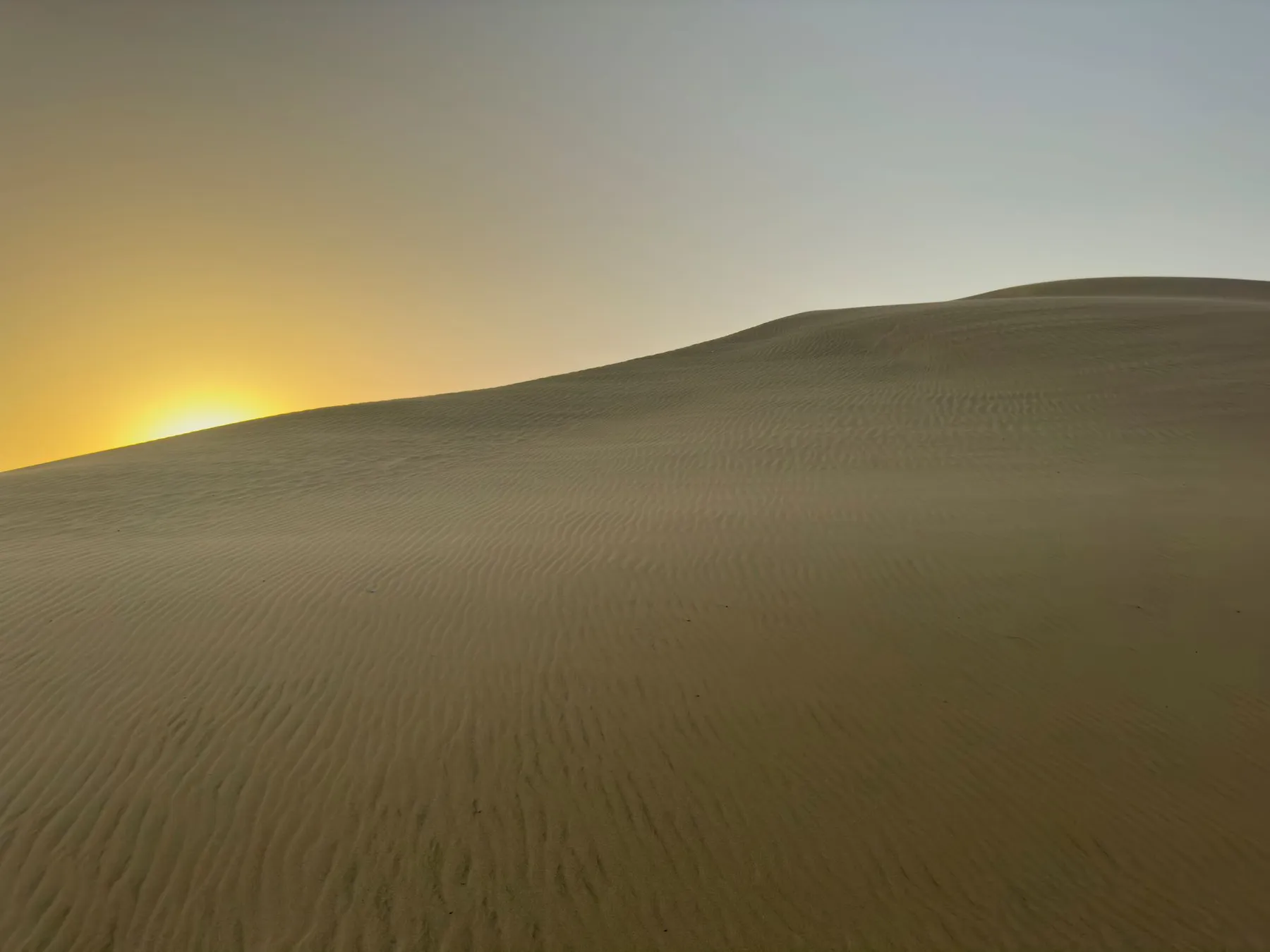 Low sun rising over wind-rippled dunes in the UAE desert